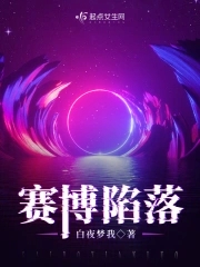 赛博坦克500